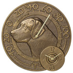 Lab Thermometer & Clock