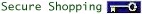 Secure Online Shopping