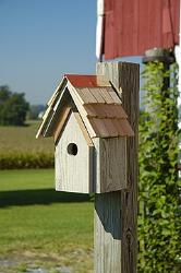 Bungalow Birdhouse