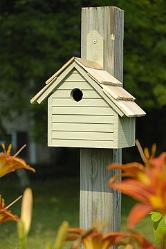 Cape Cod Wren Birdhouse