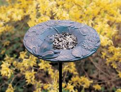 Frog Dish Bird Feeder