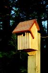 Timberframe Birdhouse