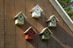 Summer Home Birdhouse - 5 Colors